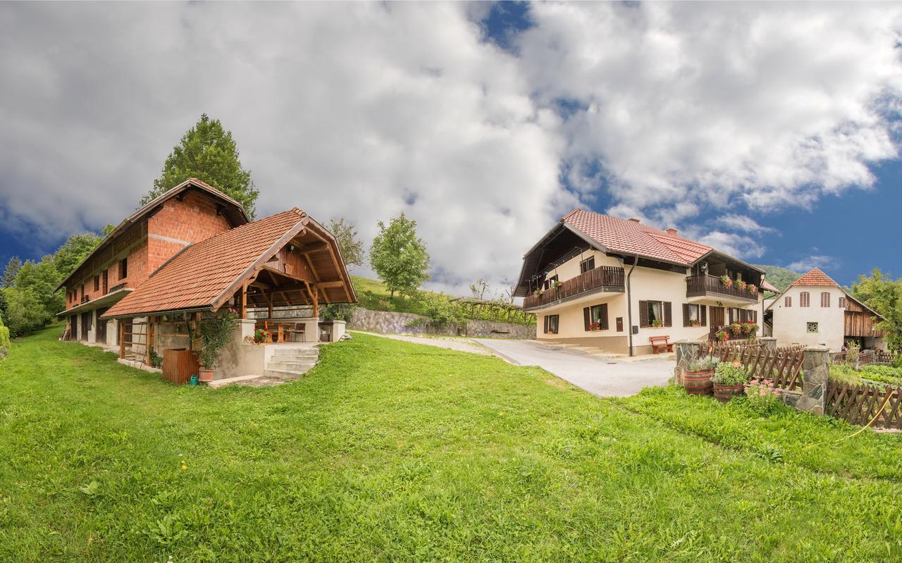 Farm Stay Zagar Mozirje Exteriér fotografie