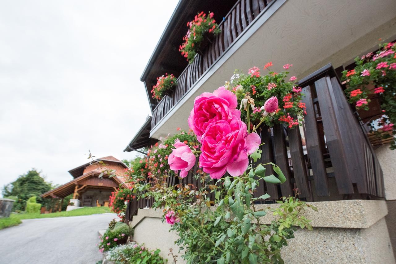 Farm Stay Zagar Mozirje Exteriér fotografie